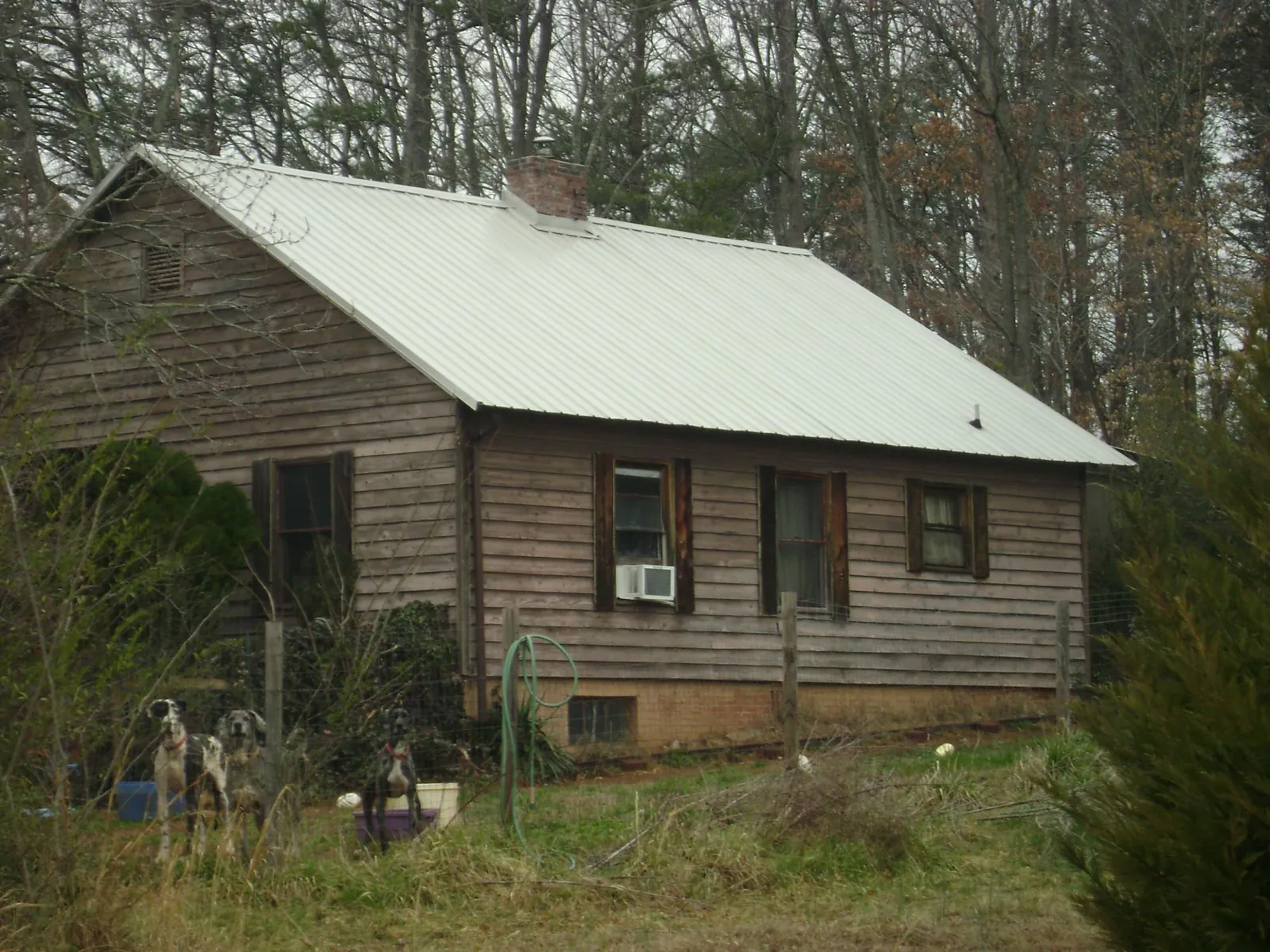 White metal roof on an old wood sided farmhouse, from a Asphalt Shingle Roof Repair job in Greenbelt